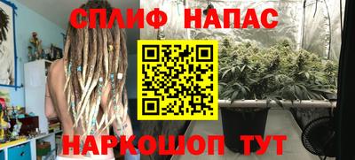 прущие грибы Апрелевка