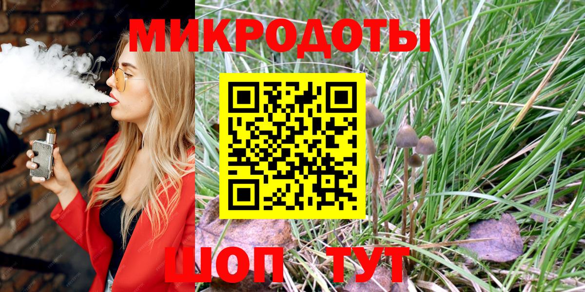 Галлюциногенные грибы Cubensis  Вход с VPN  Вичуга 